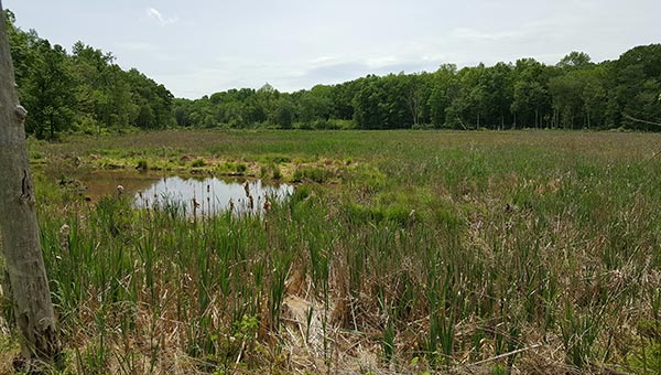 Office of Mosquito Control - Sussex County